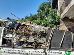 Best Property Management Cleanouts  in Richardson, TX